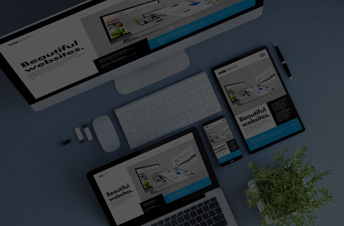 Article: Professional Websites Optimized for Conversion