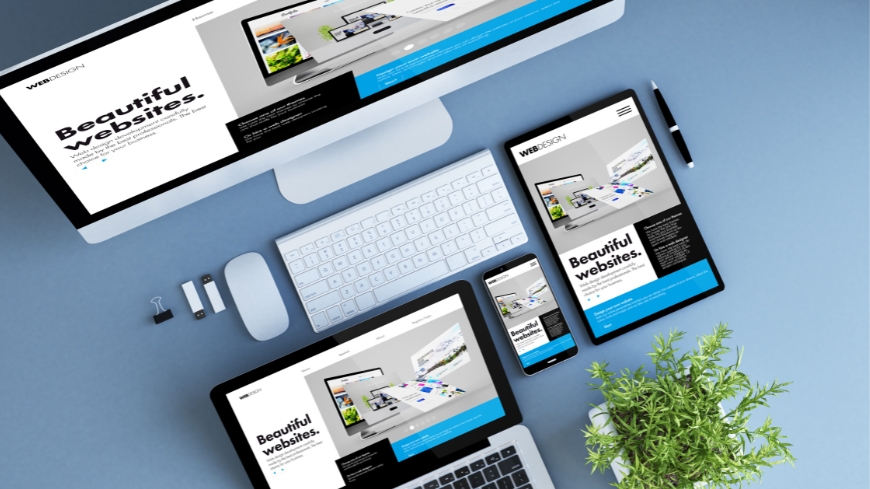 Professional Websites MozProTech